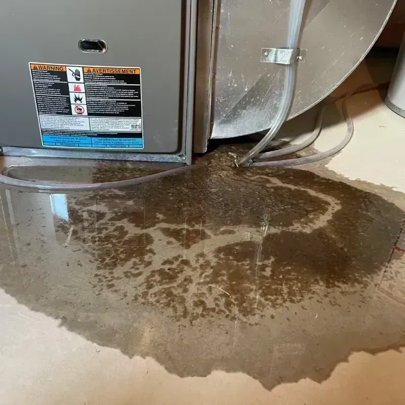 Appliance Leak Cleanup in Brentwood, MO